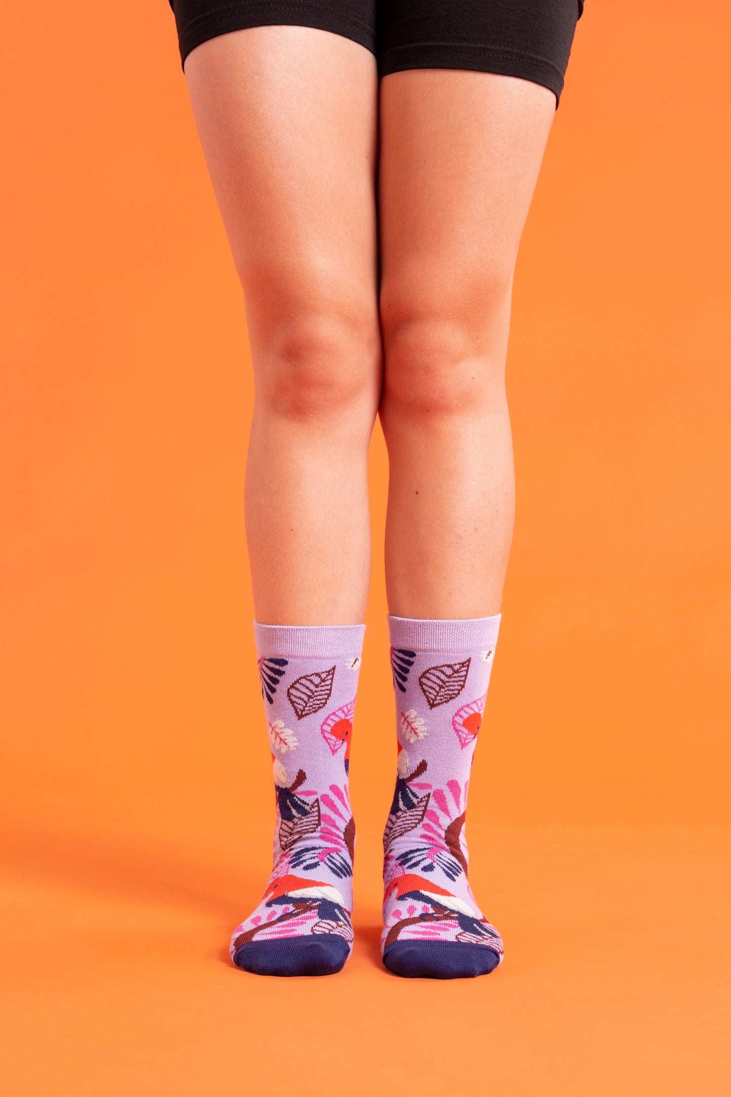 CALCETINES CASUALES GALLITO