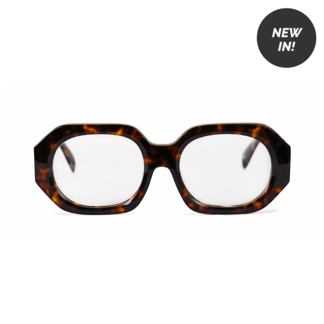 Amalfi Tortoise