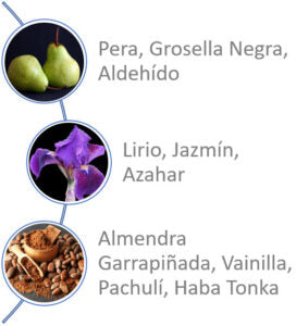 Acqua di Parisis Venizia