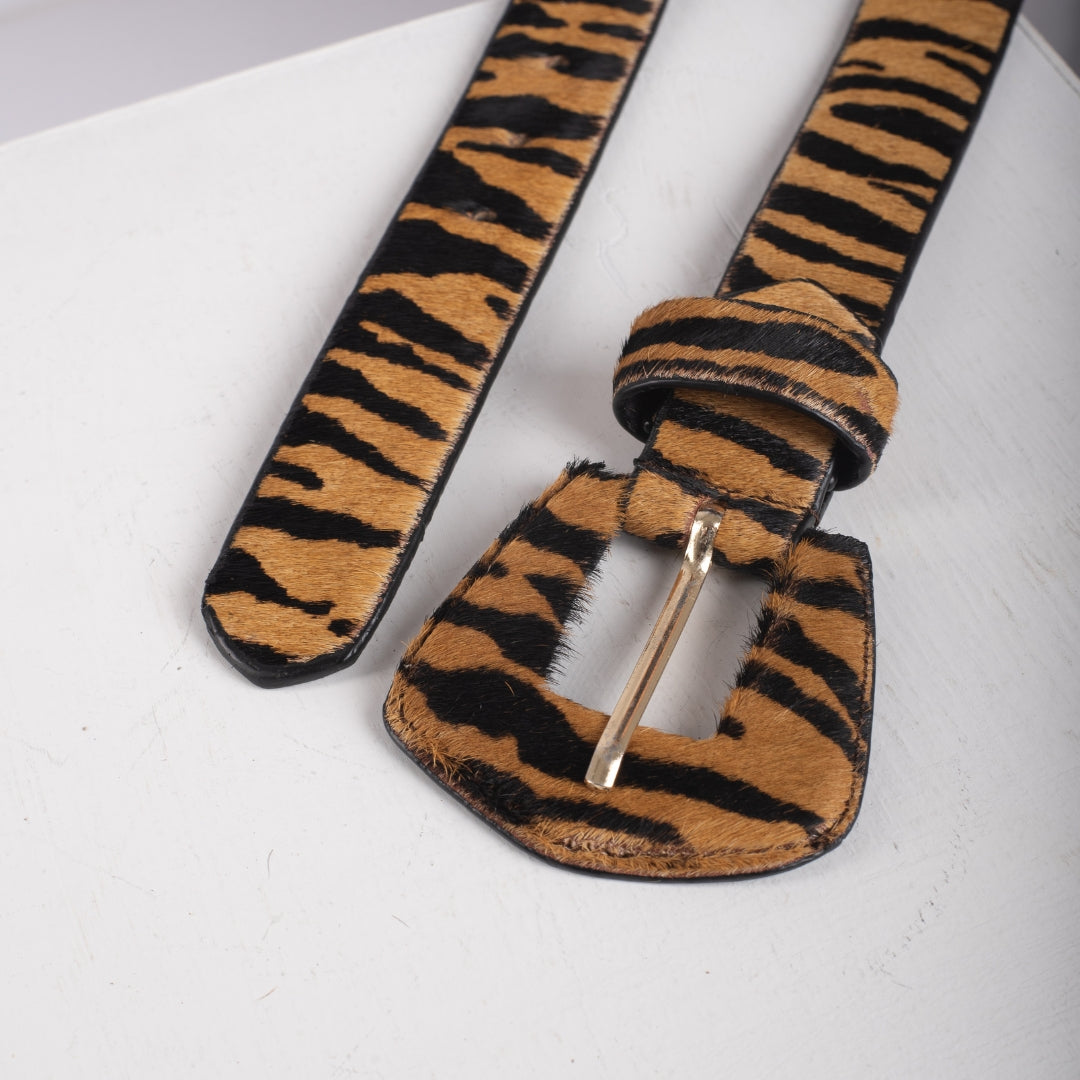 Correa Noa - Tigre