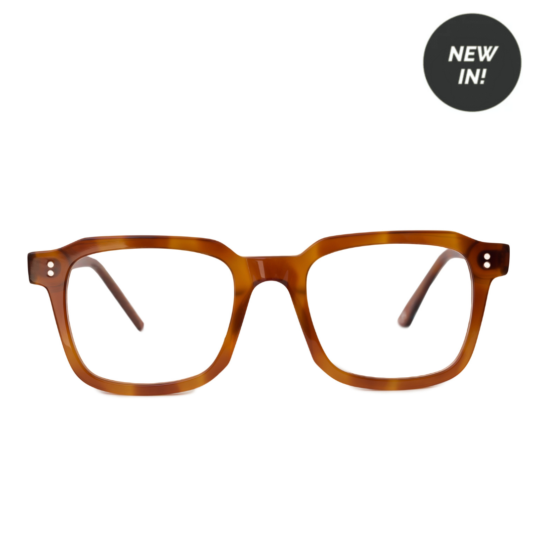 Jared Orange Tortoise