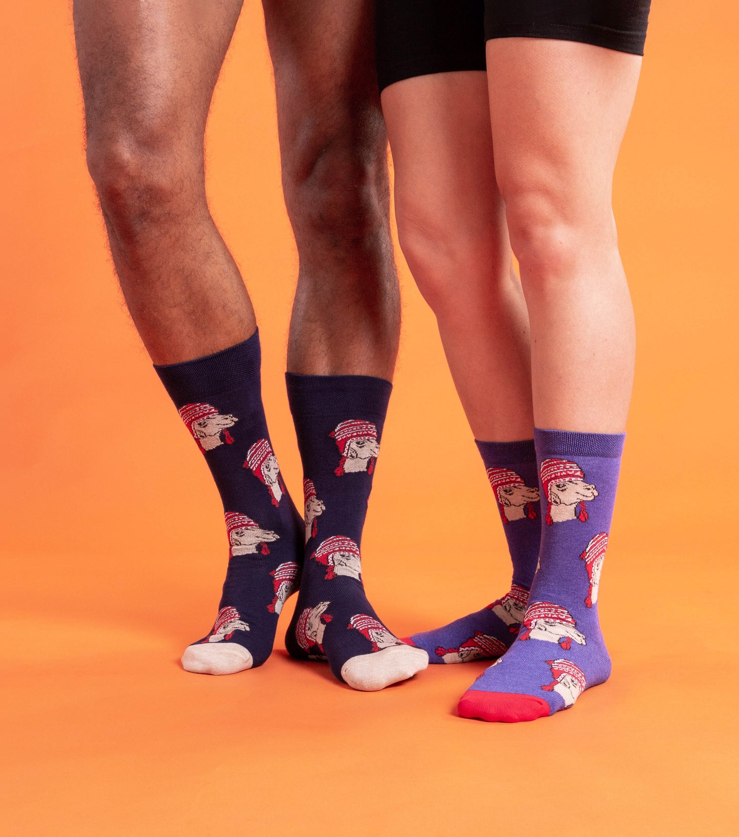 CALCETINES CASUALES LLAMA CHULLO