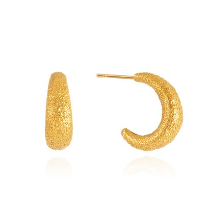 Aretes Aura