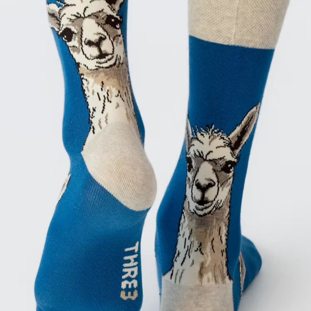 CALCETINES CASUALES LLAMAS FACE L - Aguacate Shop Perú