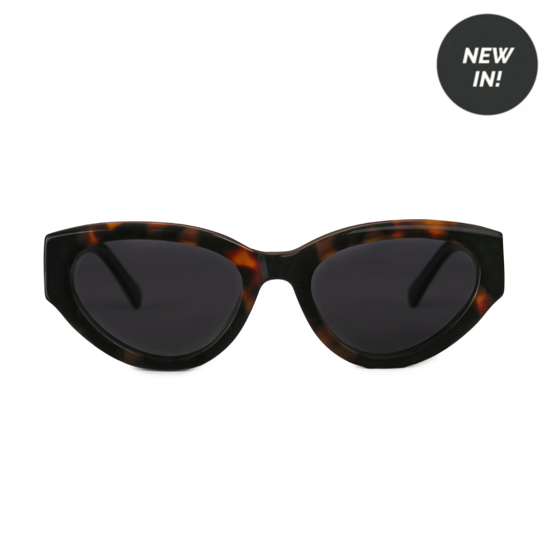 Taylor Tortoise