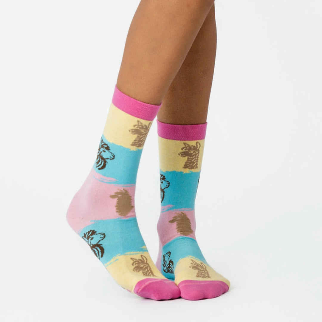 CALCETINES CASUALES ALPACAS FULL COLOR M - Aguacate Shop Perú